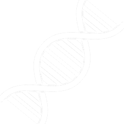 DNA Structure